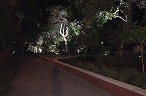 Public Works Garden Light 